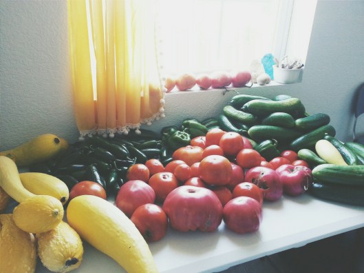 2014-07-24 12.34.42 1.jpg image