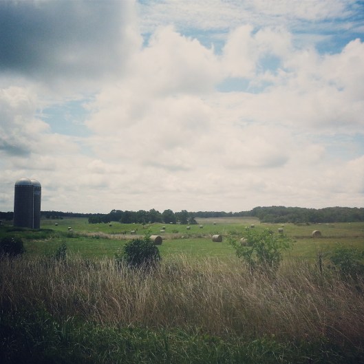 IMG_20140714_142552.jpg image